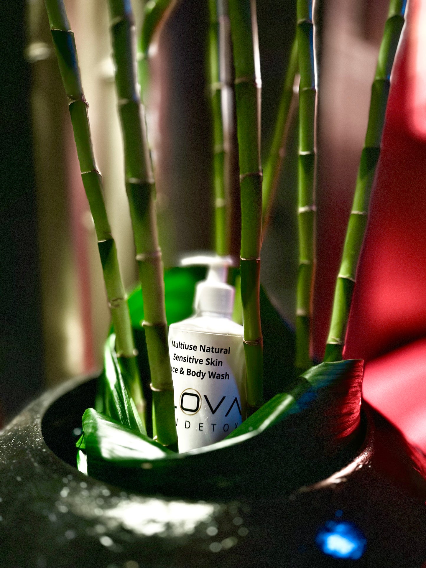 Multiuse Natural Skin Detox Gel Wash